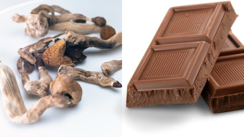 mushroom chocolate separate